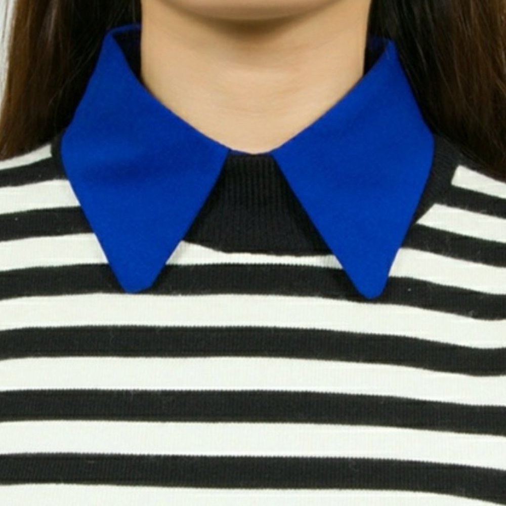 Lapel Collar